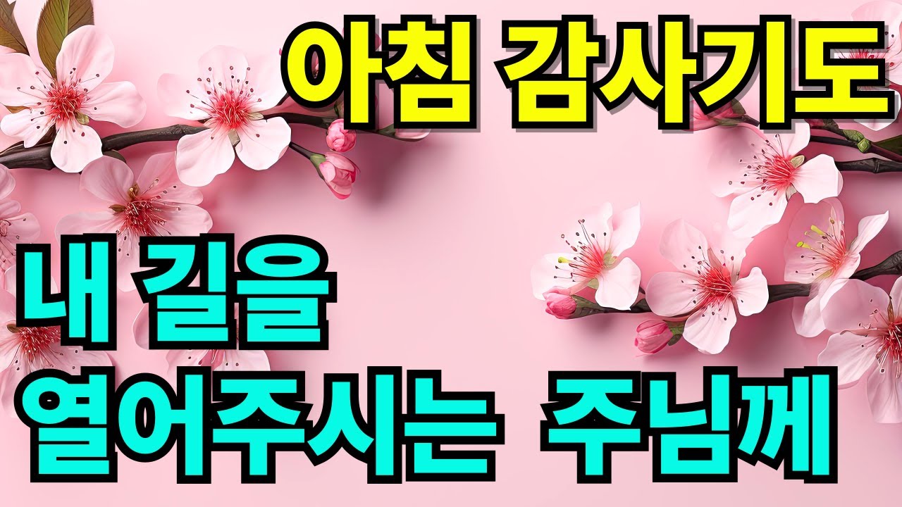 내 길을 여시는 주님께 감사드리는 아침기도 | 하루를 시작하는 기도 |아침을 여는 기도 |하루를 여는 기도 |1시간 기도 | 아침감사기도