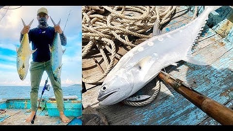 #45 Jigging in Con Dao,Vietnam. (Jigging Master, Gosen, BKK, Tailwalk, Bake Kujira) Câu cá ở Côn Đảo