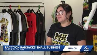 Raccoon causes chaos in a Pittsburgh small business