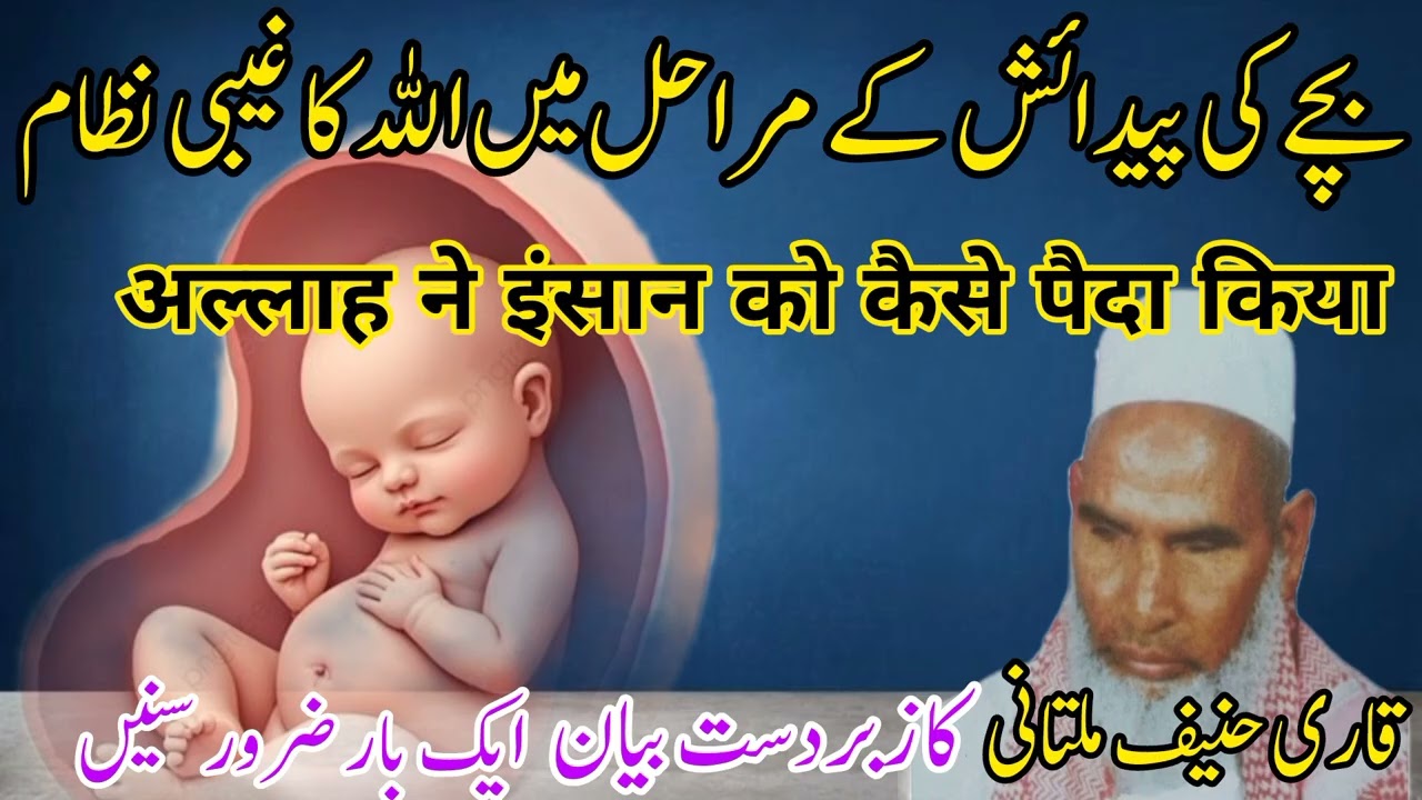Bcche ki Paidaish Kaise Hoti He | Allah Ne Insan Ko Kaise Paida Kiya | By Qari Haneef Multani | 2025