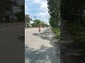 jalan lintas pekan baru sumbar