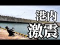 【北海道】【釣り】港内騒然！！衝撃の展開‼️ 必見！釣りならキラーが大爆発‼️