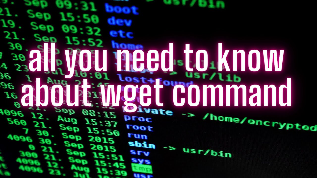 All you need to know about wget command 🤯 // Master Linux #86 ##linx ...