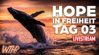 Ostsee Wal: Hope in Freiheit Tag 03 | Kapitän gibt alles zu?
