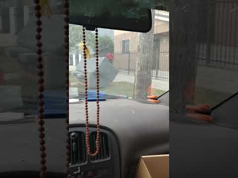 Prostitution on Figueroa Street bad girls club - YouTube