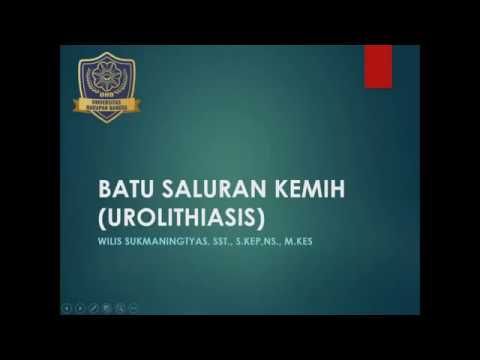 Video: Batu Saluran Kemih/Kristal Terbentuk Dari Asam Urat Pada Anjing