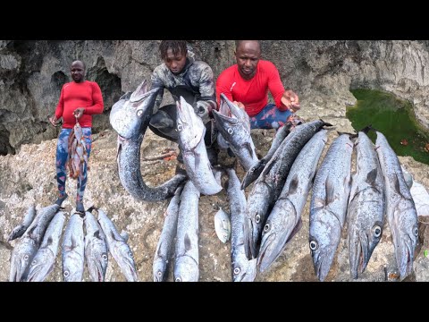Almost Lost My Hand To A Giant Barracuda This Is Why You Shouldn't Shoot Them In The Head