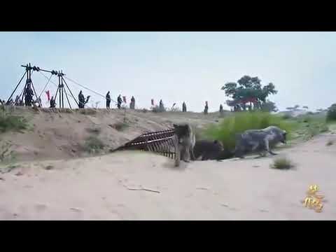 اغنية أنا لم بحب بجن مسلسل وكلاء الأميرة