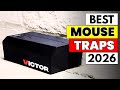 Top 5 Mouse Traps of 2026 That Actually WORK Fast! [Watch Before Buying]