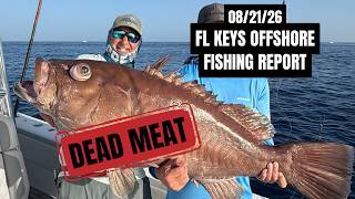 FL Keys Offshore Fishing Report 26