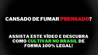 Curso de Cultivo e Extração Medicinal BrazilianStrains Academy