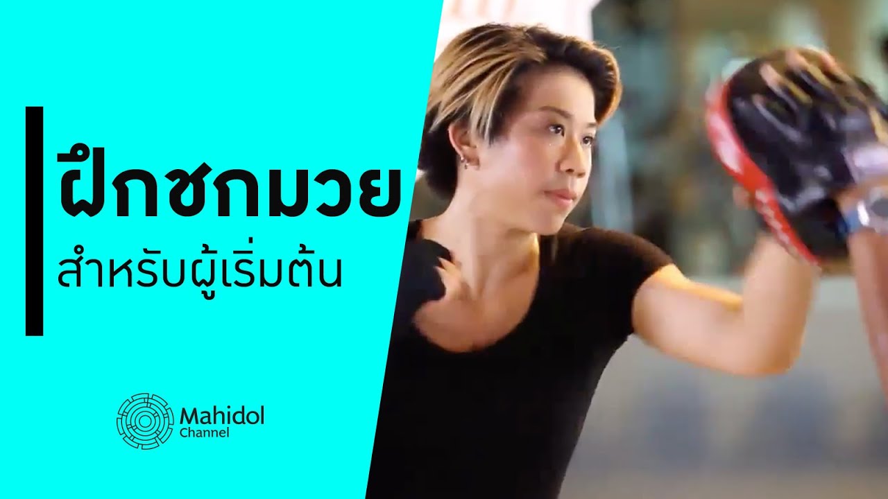 อยากชกมวยแต่ไม่มีพื้นฐาน ดูคลิปนี้! ฝึกชกมวยสำหรับมือใหม่ [สอนออกกำลัง by Mahidol Channel]
