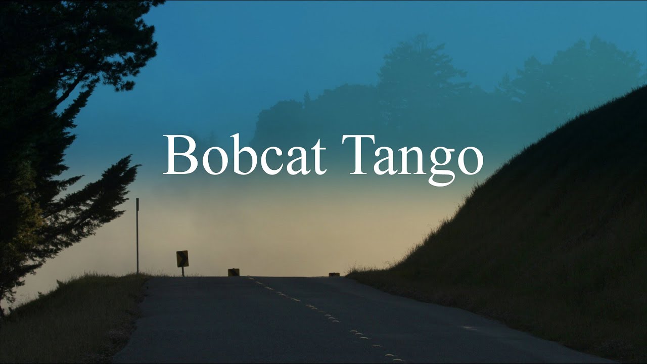 camera iphone 8 plus apk Bobcat Tango