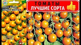 Томат Янтарное сердце: описание сорта, характеристики, посадка, выращивание, болезни и вредители. Отзывы