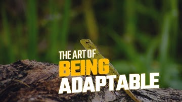 The Art of Being Adaptable