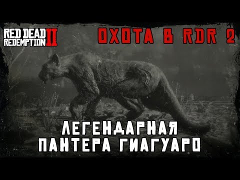 ЛЕГЕНДАРНАЯ ПАНТЕРА ГИАГУАРО - охота в RDR 2