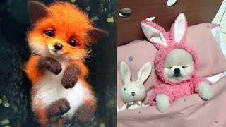 Tik Tok Chó Phốc Sóc Mini | Funny and Cute Pomeranian Videos #29 by So Cute 14,477 views 3 years ago 9 minutes, 43 seconds