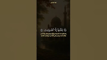 سورة القصص | الشيخ محمد صديق المنشاوي