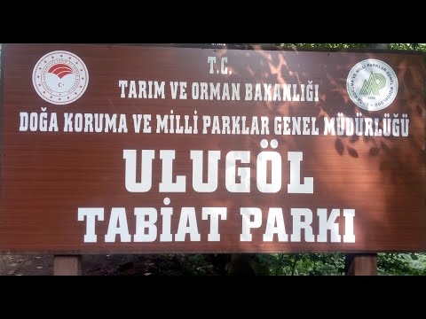 ORDU GÖLKÖY ULOGÖL tabiat parkı. BUNGALOV evler. Gezelicek yerler. KARADENİZ TURU 1 gün.