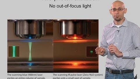 Microscopy: Two Photon Microscopy (Kurt Thorn)