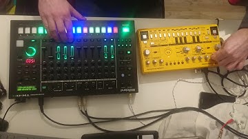 the prodigy: claustrophobic sting (td-3 + optimised pattern)