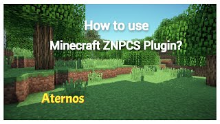 How to use ZNPCS Minecraft plugin Znpcs Setup. #gaming | PrathamGamerzXYZ