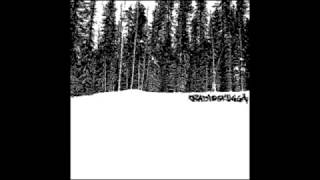 Anatomi-71 / Radioskugga - Split EP 2004 (Full Album)