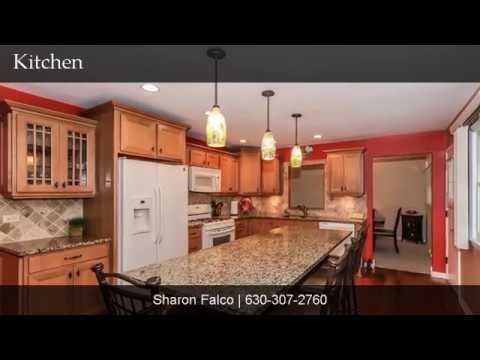 425 SUMMIT DRIVE, Schaumburg, IL home video tour