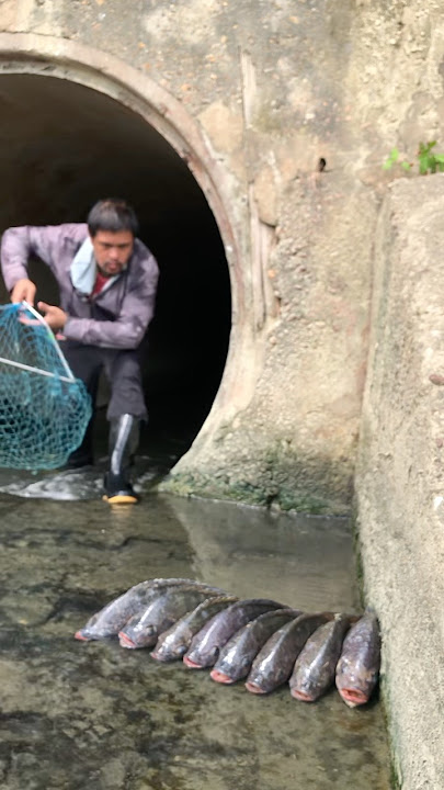 Isang sandok lng 🐟🐟🐟🙀