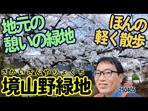 『境山野緑地』東京都武蔵野市境：地元の憩いの緑地！