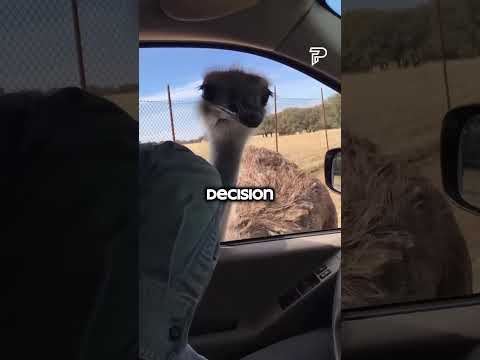Don't check the sound!