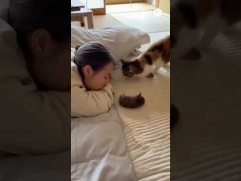 ドブ臭くて目が覚めたら目の前に