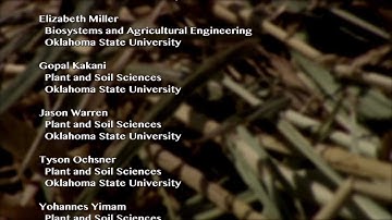 What are bioenergy feedstocks? Developing a Sustainable Biomass Production System