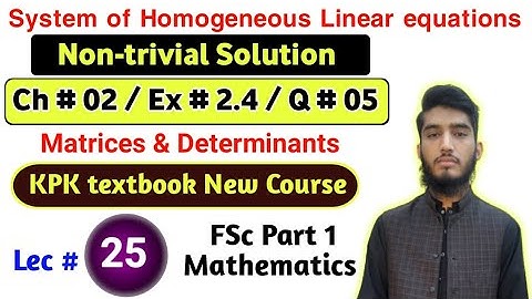 Homogeneous Equations |Non trivial solution| Ex # 2.4| Q # 05| KPK New course|Lec 25|FSC part 1 Math