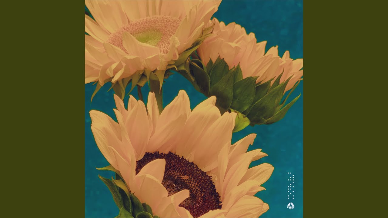 Watch Himawari on YouTube Watch Himawari on YouTube