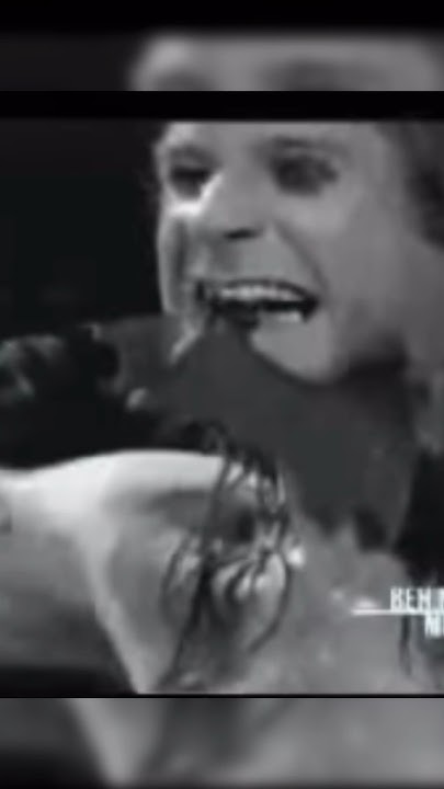 ozzy osbourne bites pigeon head off