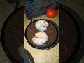 two giant beetle larvae quickly emerged from the glass filled with soil #shorts