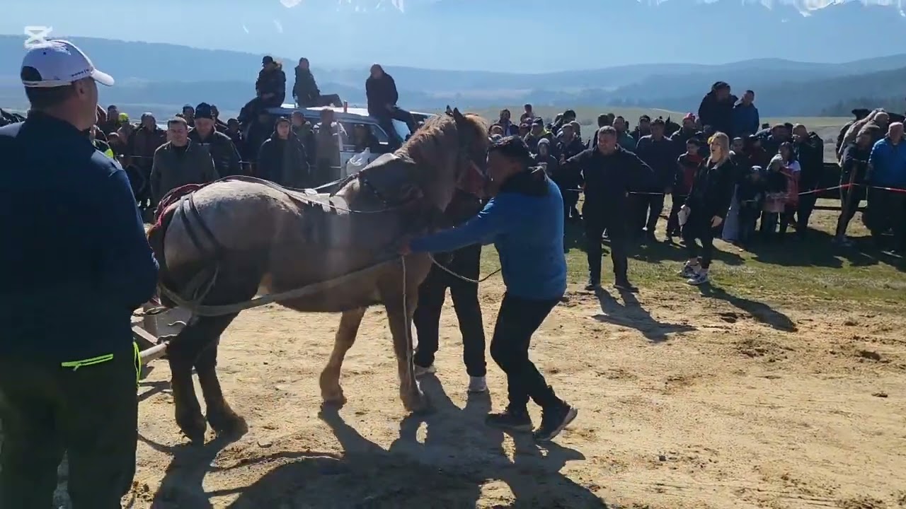 с.Бачево/ Тодоровден във с.Бачево на 28.02.26г. 😉