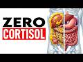 How To Force Your Body To Melt Visceral Fat With Zero Cortisol