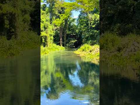 Down By the River #jamaica