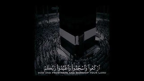#القرآن_الكريم #foryou #fypシ #راحة_نفسية #ايات #صوت_جميل #تلاوة_هادئة #القارئ_عبدالرحمن_مسعد #short