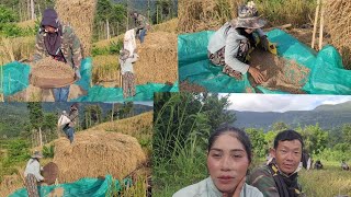 Ntau Ib Qho Nplej Nplaum Dub Xa Mu Rau Leej Twg Noj Nawb