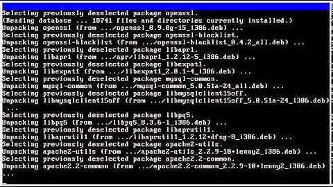konfigurasi debian server ( DNS, DHCP, FTP, WEB)