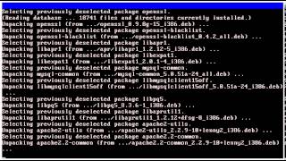 konfigurasi debian server ( DNS, DHCP, FTP, WEB)