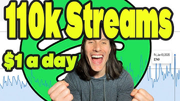 110,00+ Spotify Streams with a $300 Budget, running Instagram Ads | ONLY spend $1 a day.