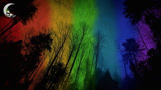 RAIN COLOUR CHANGE Sleep Sounds · Relaxing Night Light Ambience, Raining Sounds For Sleeping