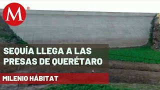 Crisis de agua en Querétaro, presas se están quedando SECAS | Milenio Hábitat