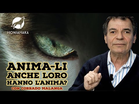 Video: Chi ha identificato gli animali cosa sono gli animali?