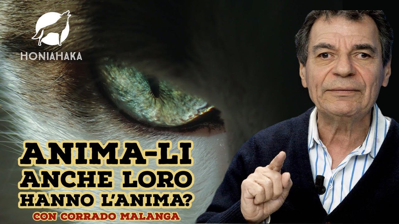 Corrado Malanga - ANIMA(li)
