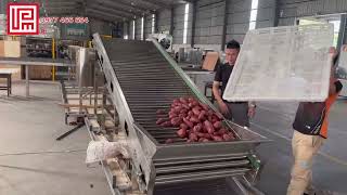 Máy phân loại xoài, phân loại khoai lang ( TEST tại xưởng VPM)